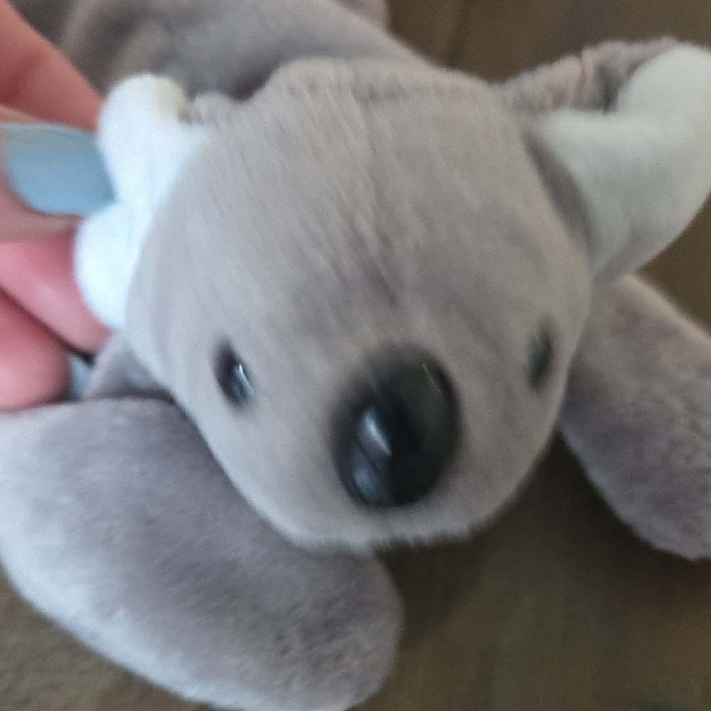 Beanie Babies Collection - Picture 6 of 9